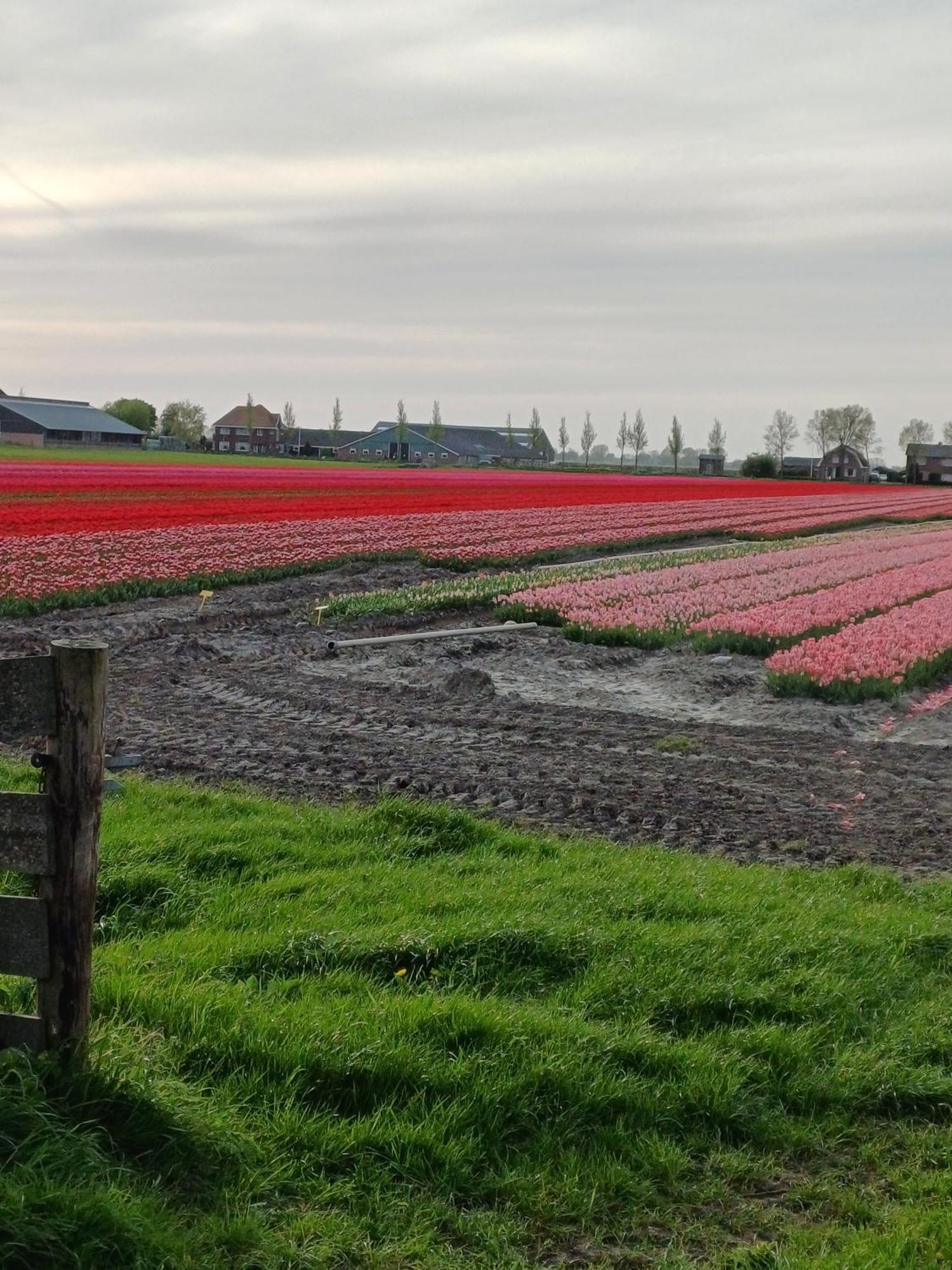 Kota Wadway Villa Spanbroek Eksteriør bilde